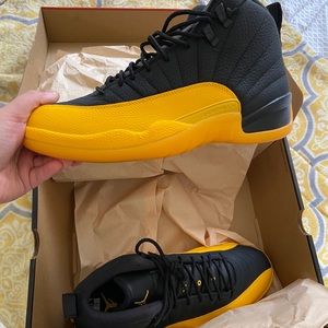 Air Jordan 12
